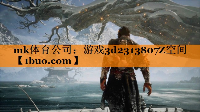 mk体育公司：游戏3d2313807Z空间