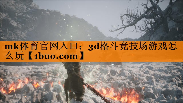 mk体育官网入口：3d格斗竞技场游戏怎么玩