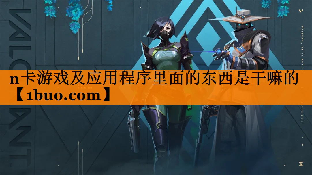 n卡游戏及应用程序里面的东西是干嘛的
