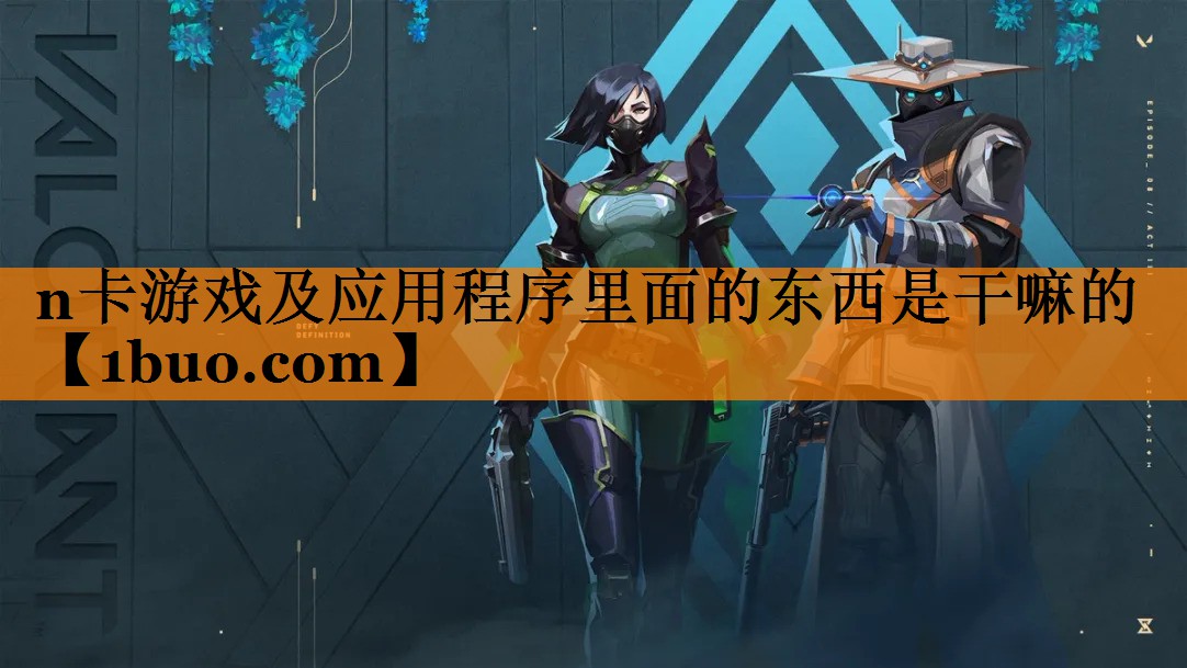 n卡游戏及应用程序里面的东西是干嘛的